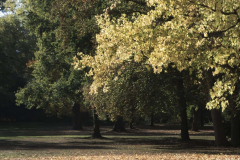 November