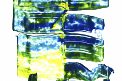 0000003-mini-06-2026