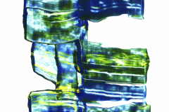 0000004-mini-06-2026